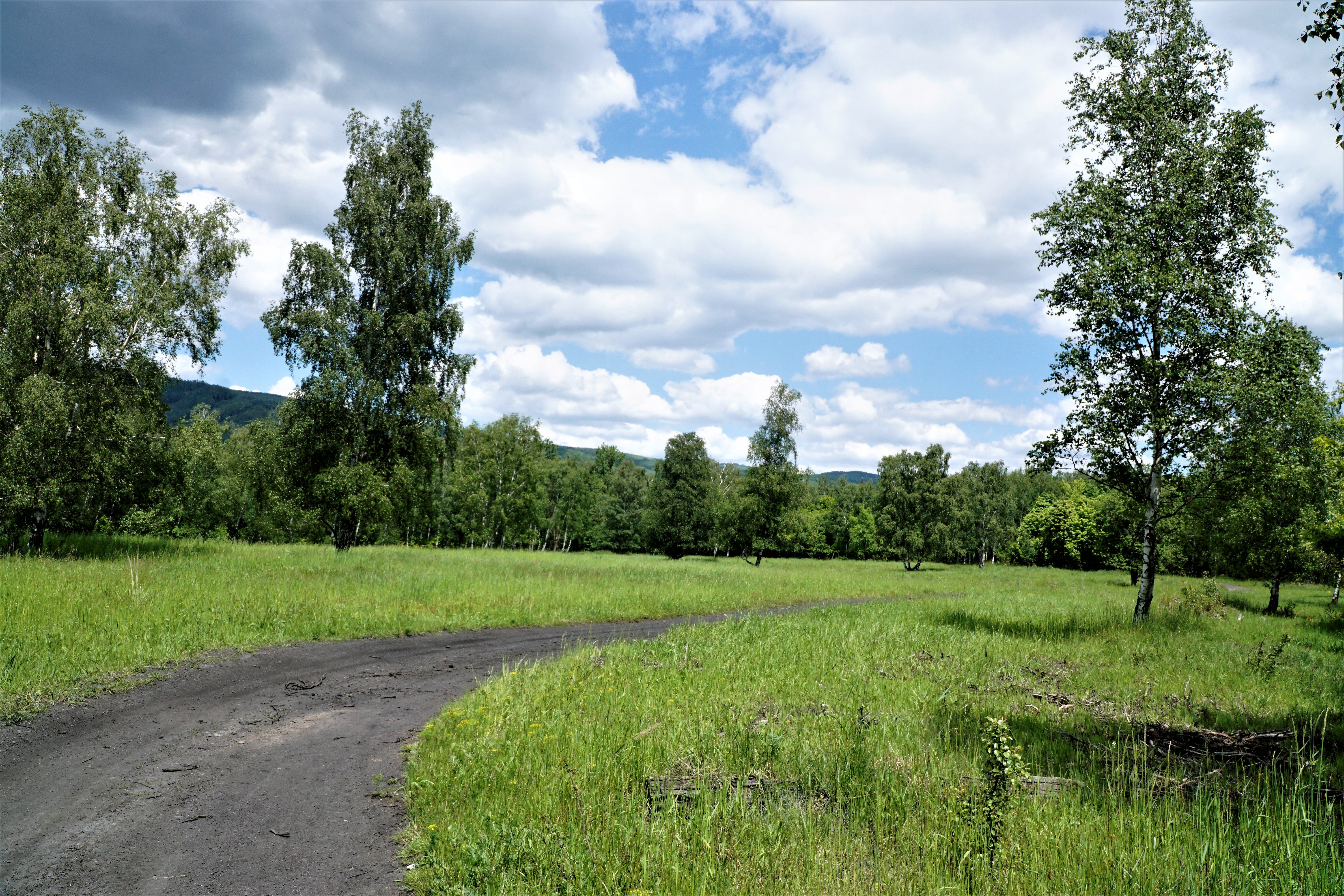 aaa