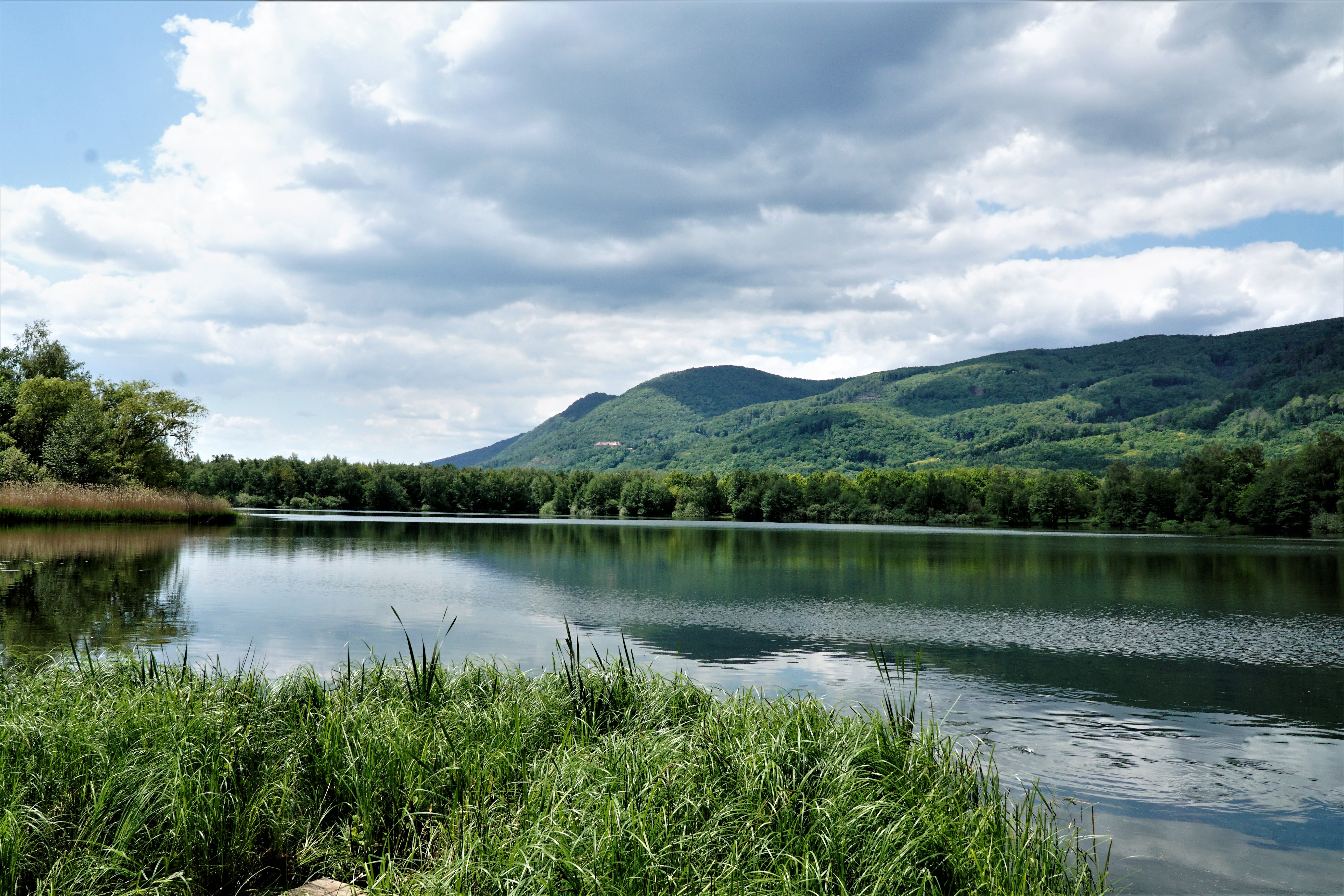 aaa